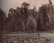 Camille Pissarro Schwarz Metaponto to the cabbage painting